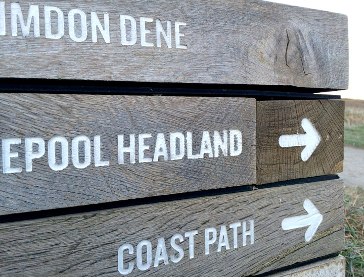 crimdon_dene_small_web